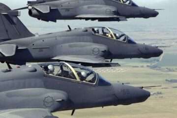 hawk