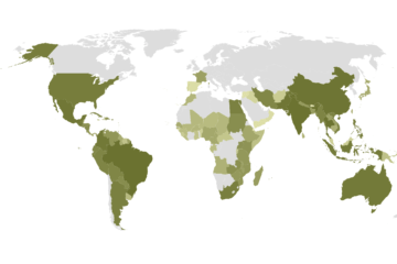 Sugarcane Production by country map